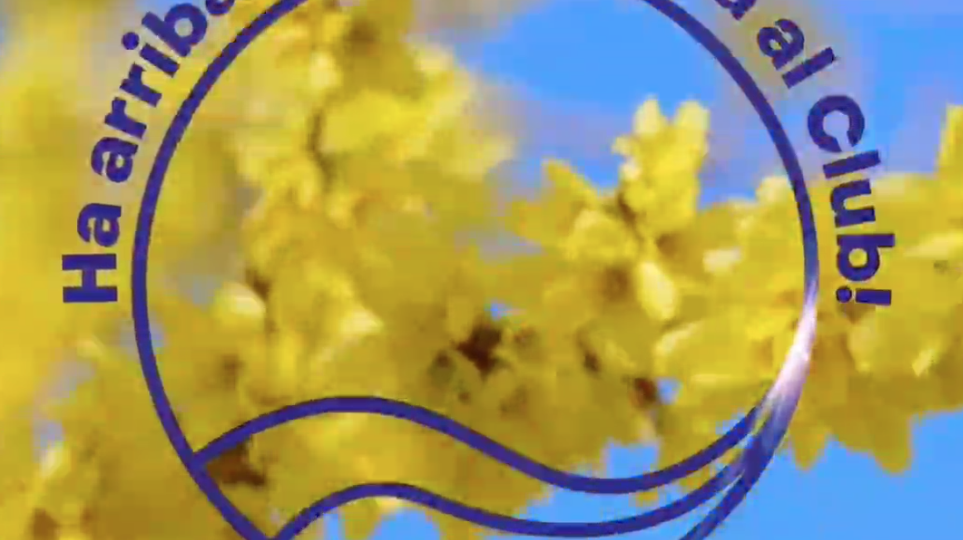 PROMOCIO PRIMAVERA